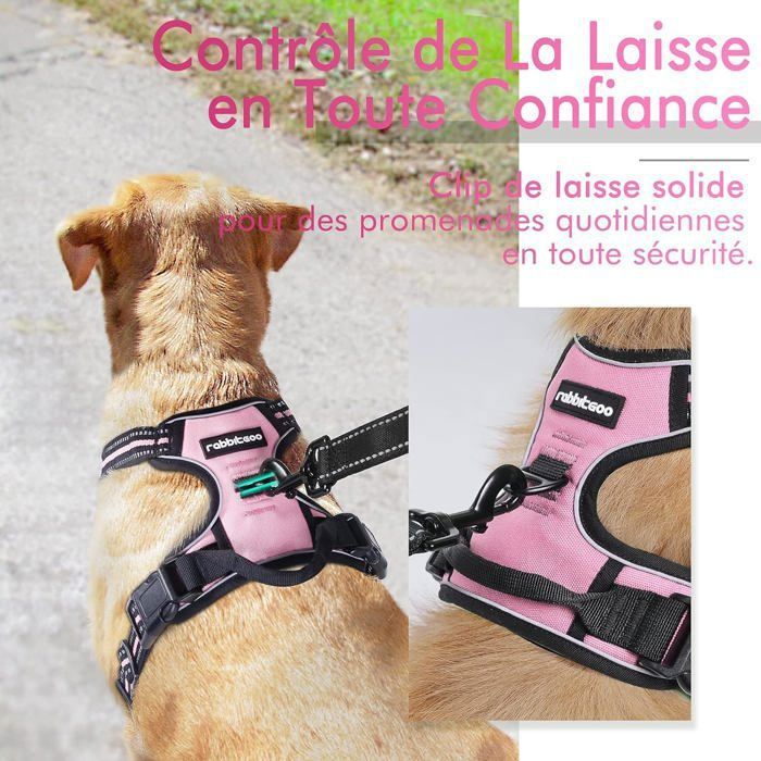 Harnais Anti-traction Pour Chien | Laisse Incluse, Maille Respirante - Taille XS à XL, Sécurité Réfléchissante