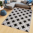 Tapiso Maya Tapis Salon Chambre Ado Moderne Géométrique Losanges Gris Blanc Noir Fin 120 X 170 Cm