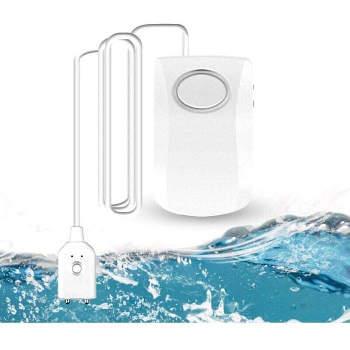 Hidden water risk monitor with remote sensor probe