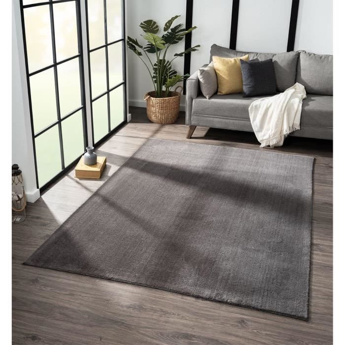 Tapis De Salon, À Poils Courts, Design Moderne, Antidérapant, Lavable