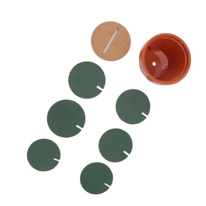Lot De 6 Sous-Verres Cactus Créatifs + Pot – Décoration Amusante Anti-Dérapante Pour Table