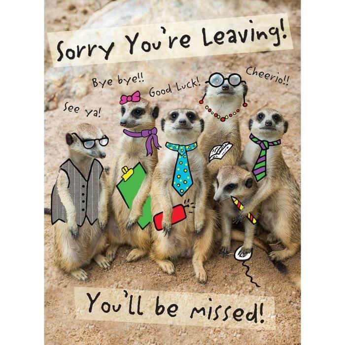 Piccadilly Greetings Geburtstagskarte Für Männer – Modern, 20,3x15,2 Cm, Mit Umschlag