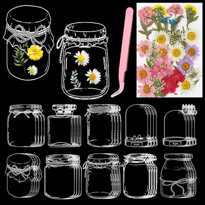 Fleurs Séchées Pressées Comestibles - Lot De 48 Pièces (8 Variétés) - Pour Décoration Gâteaux, DIY, Scrapbooking