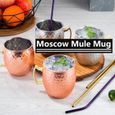 530ml Tasse Moscou Coupe à Cocktail en Cuivre Bière fraîche Café Verre 11x8.8x10cm 18oz-1