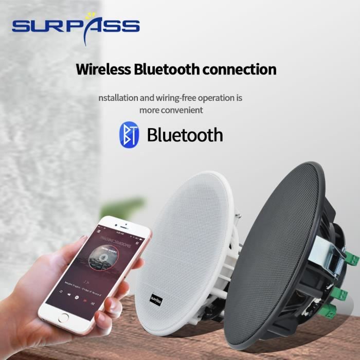 Adaptateur UE pour haut-parleur Bluetooth-Enceinte bluetooth