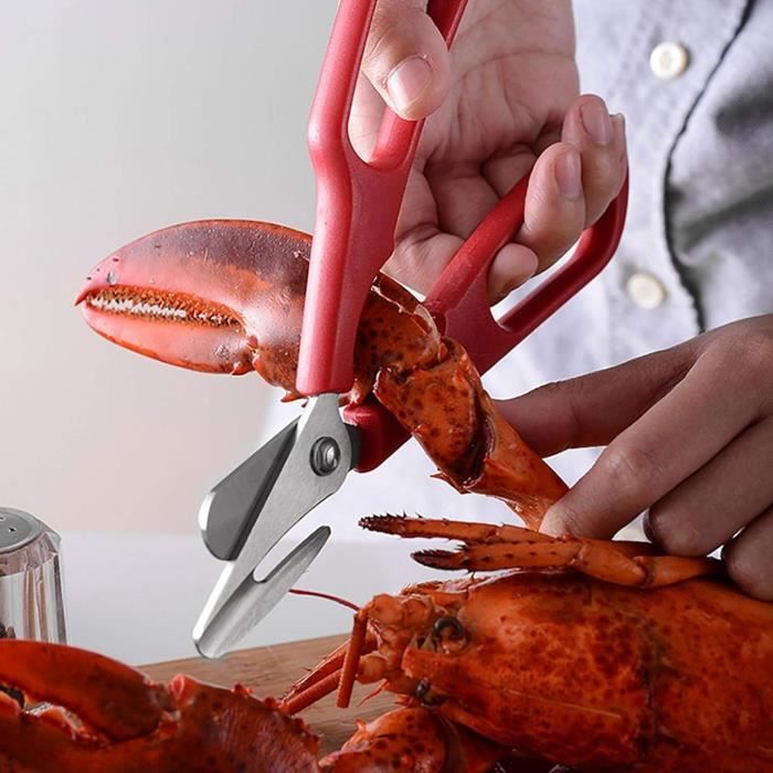 Pince à griffes de crabe pour fruits de mer, outil de cuisine, ciseaux pour  déterminer, manger, craquelins d'huître - AliExpress