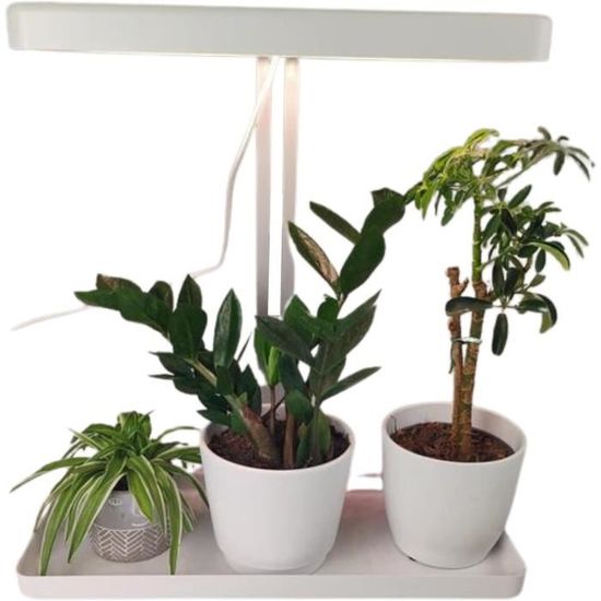 Lampe de croissance LED Silvergear pour plantes d'intérieur