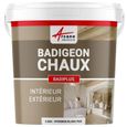 Badigeon à la chaux décoration intérieure extérieur maison BADIPLUS  Mykonos Blanc Pur - kit de 2,5 kg : jusqu'à 12.5 m²-0