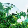 LEU Anti-oiseaux Filet de volière Maille 4*10M Protection pour Plante Légume Fruit Étang Jardin-0