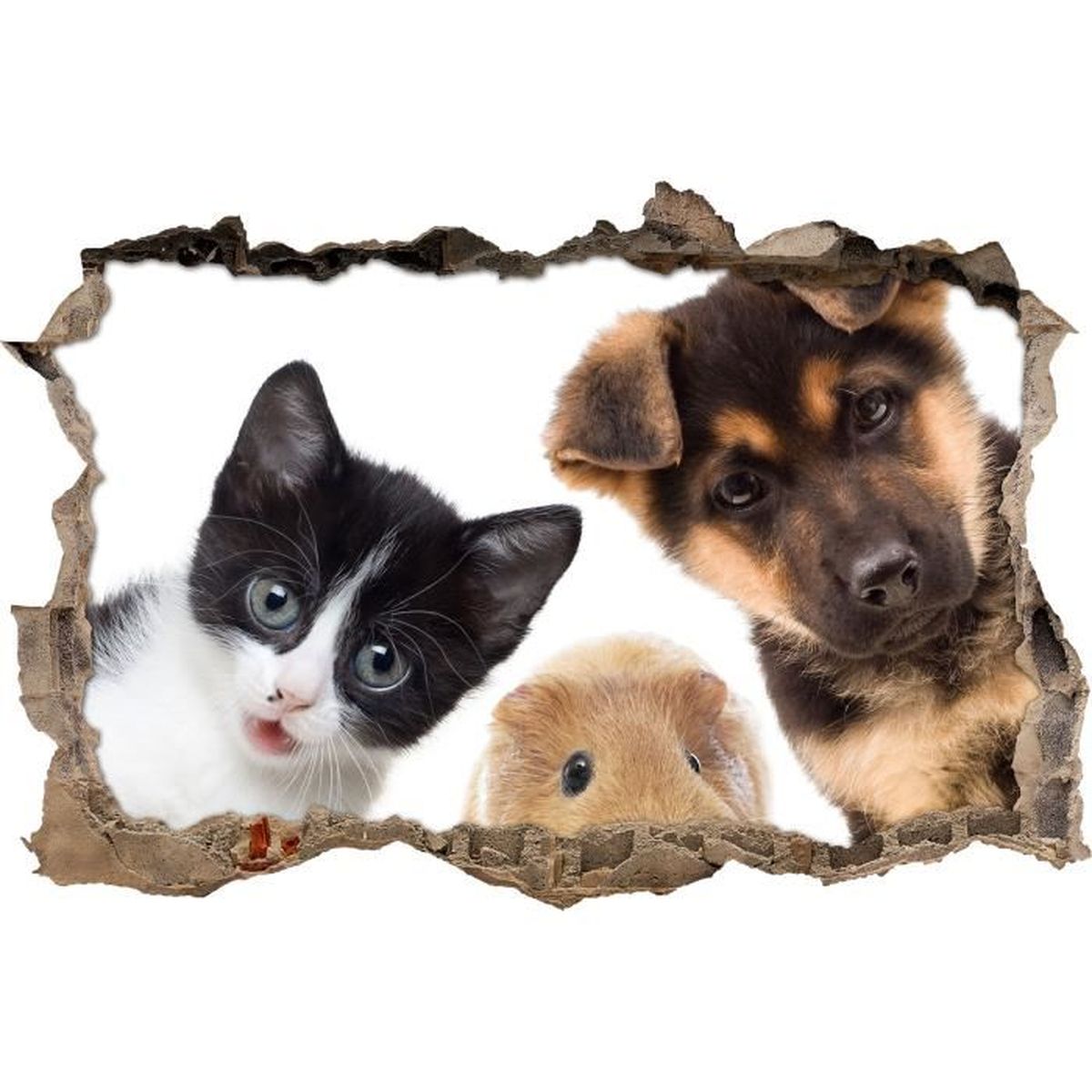 Trio Drole De Chat De Chien Et Cochon Guinee Mur Percee En 3d Look Mur Ou Format Vignette De La Porte 92x62cm Stickers Muraux Achat Vente Stickers Cdiscount Trio Drole De Chat De Chien Et Cochon Guinee Mur Percee En 3d Look Mur Ou Format Vignette De La Porte 92x62cm Stickers Muraux Achat Vente Stickers Cdiscount