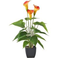 Faux plantes fleur d'oranger artificielle Calla Lily Fleurs artificielles Plante en pot jardin extérieur suspendu à l'intérie 927