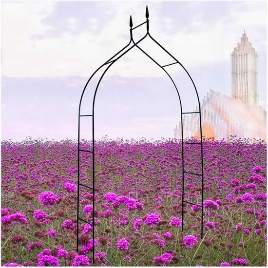 Arche De Jardin En Métal - Demi-arche Pour Rosiers Et Plantes Grimpantes - Décoration Pelouse Ou Mariage - Revêtement Poudre - 0.6x2.4m (Blanc)