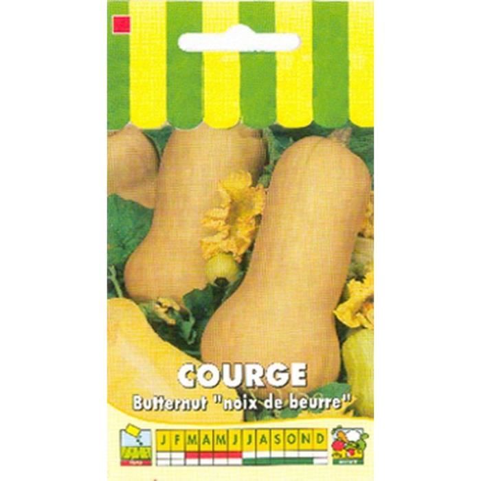 Graines - Courge Butternut