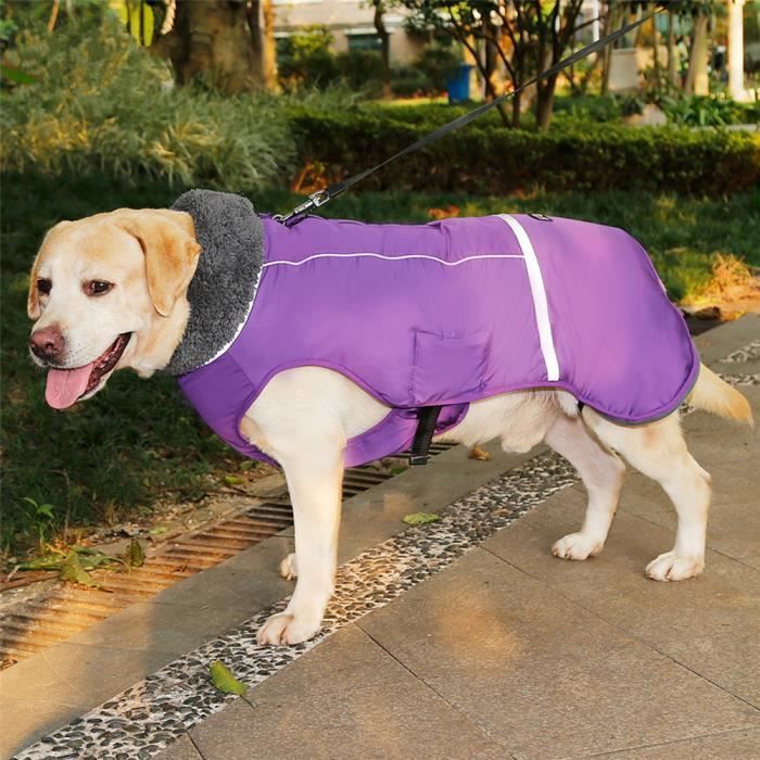 [M Violet] Vêtement chien avec harnais, manteau pour chien chaud hiver, Veste pour chien, Manteau doudoune pour chien impermeable