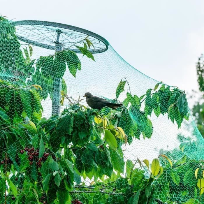 LEU Anti-oiseaux Filet de volière Maille 4*10M Protection pour Plante Légume Fruit Étang Jardin