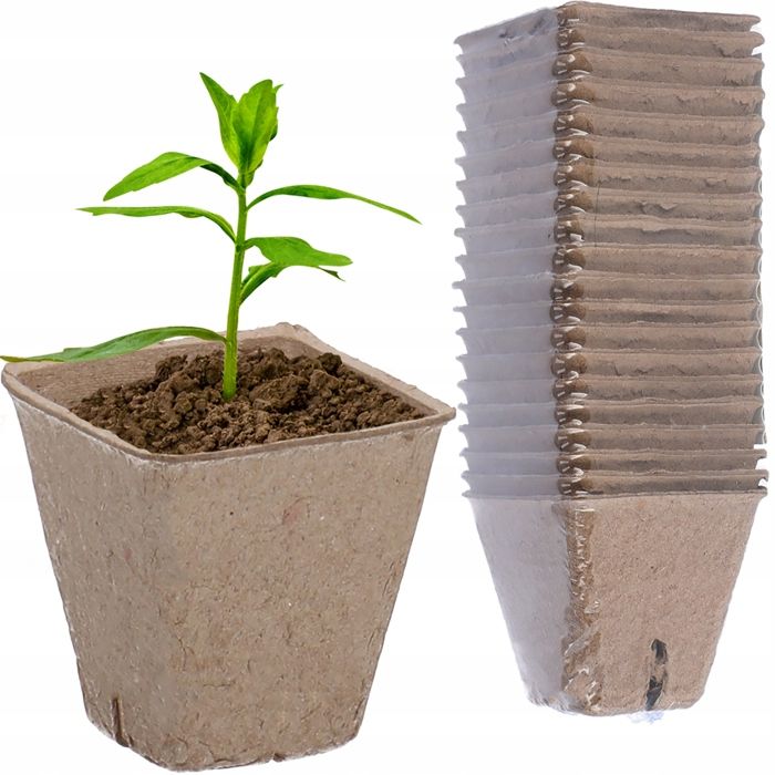 Godets Plantation Jardin Dyiouxin Pots De Culture Biodégradables - Lot De 20 Pots 6cm, Bois Naturel, Pour Semis Et Plantation Pots De Culture écologiques Jardin