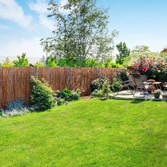 Canisse brise-vue Saule 90 x 300 cm – 1 pièce