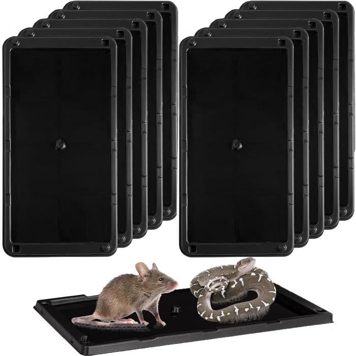 Piège à rats avec appâts + suivi en ligne 36 mois avec puce GSM