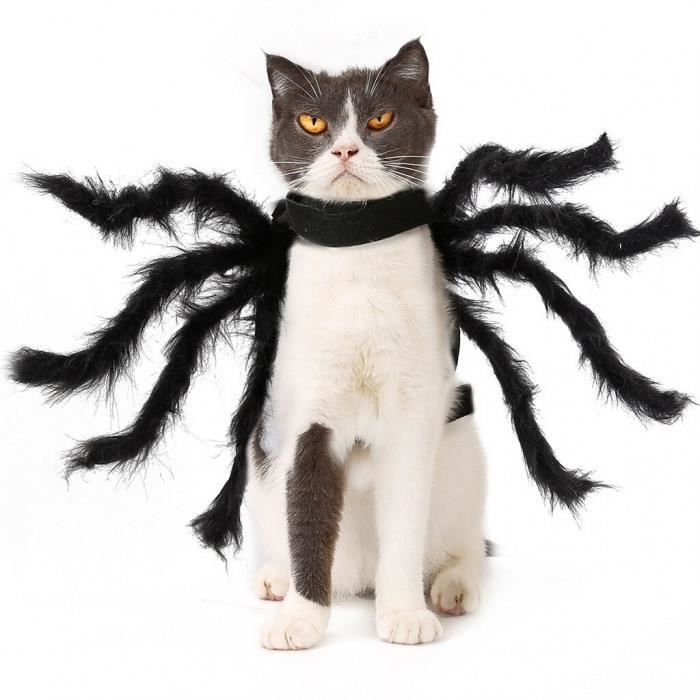 Version 1 M Ignon Chat Chien Halloween Pet Habiller Araignee Aile Vetements Pour Chiots Chats Costumes Chihuahua Chiot Ropa Cdiscount Version 1 M Ignon Chat Chien Halloween Pet Habiller Araignee Aile Vetements Pour Chiots Chats Costumes Chihuahua Chiot Ropa Cdiscount