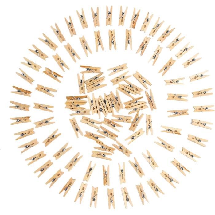 Yardwe Lot De 100 Pinces à Plantes De Jardin En Plastique Pour