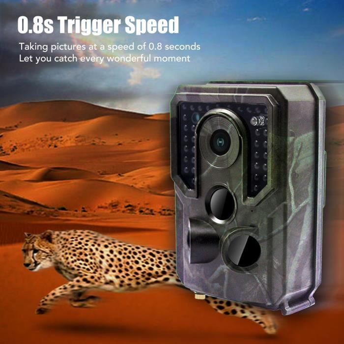 Caméra De Chasse Infrarouge 16 MP 1080p - étanche IP66, écran TFT 2", Détection PIR 10 M