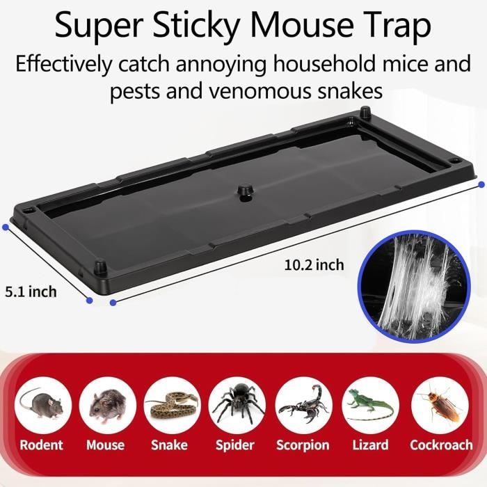 18 Pièces Piège à Souris Collantes Efficaces - Pièges à Rats Et Rongeurs Pour Cuisine Et Entrepôt