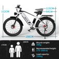 Vélo électrique DUOTTS F26 Blanc argenté VTT 1500W Batterie 48V 17.5Ah Portée de 60 km FAT BIKE 4.0*26-3