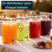 Distributeur De Jus 8L Avec Système De Refroidissement - Modèle Professionnel Rétro Argenté