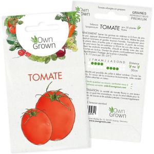 GRAINE - SEMENCE Graines de tomate (Solanum lycopersicum), graines 