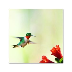 Les Oiseaux volent dans la Nature Photo sur Toile pr/êt Couvert Taille Art Print Peinture Murale 60x40 cm