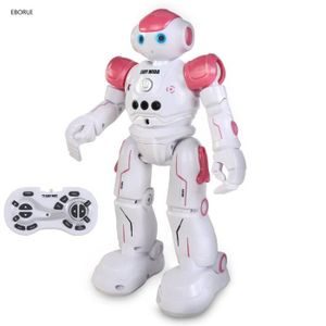 ROBOT - ANIMAL ANIMÉ Rose - Robot RC R2S, CADY WIDA, programmation inte