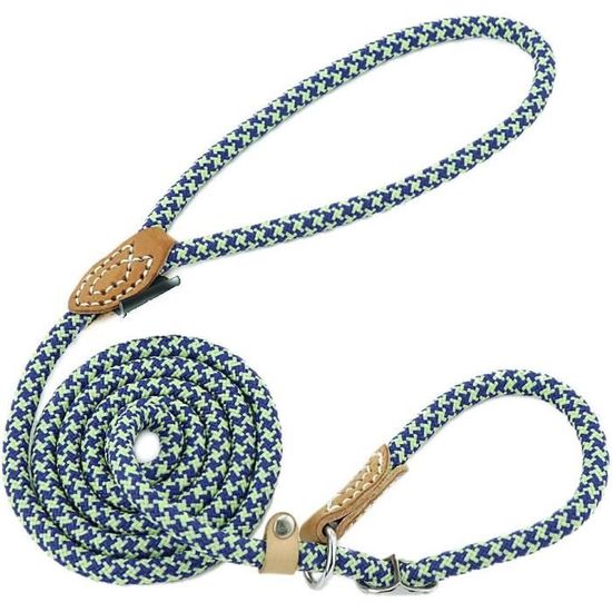 Laisse Lasso Pour Chien 1.7m - Anti-Traction - Nylon Résistant - Poignée Confortable - Pour Chiens Petits Et Moyens - 8