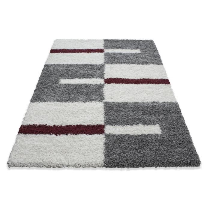 Fibres longues Hirsute Salon Shaggy Tapis de Parement 3cm Gris-Blanc-Rouge (240x340 cm)