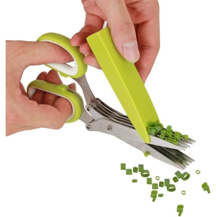 LOMATEE Ciseaux à Herbes, Ciseaux 5 Lames, Ciseaux Fines Herbes aromatiques INOX 11,5cm avec Etui de Protection et Balai &agr