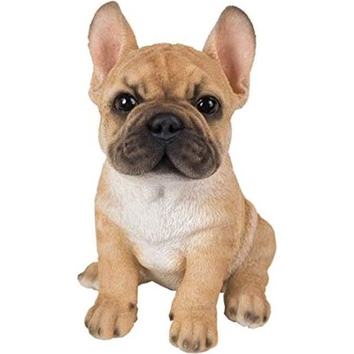 Peluche Cldgj Pet Pals D Or De Bouledogue Francais Chiot Cdiscount Jeux Jouets Peluche Cldgj Pet Pals D Or De Bouledogue Francais Chiot Cdiscount Jeux Jouets
