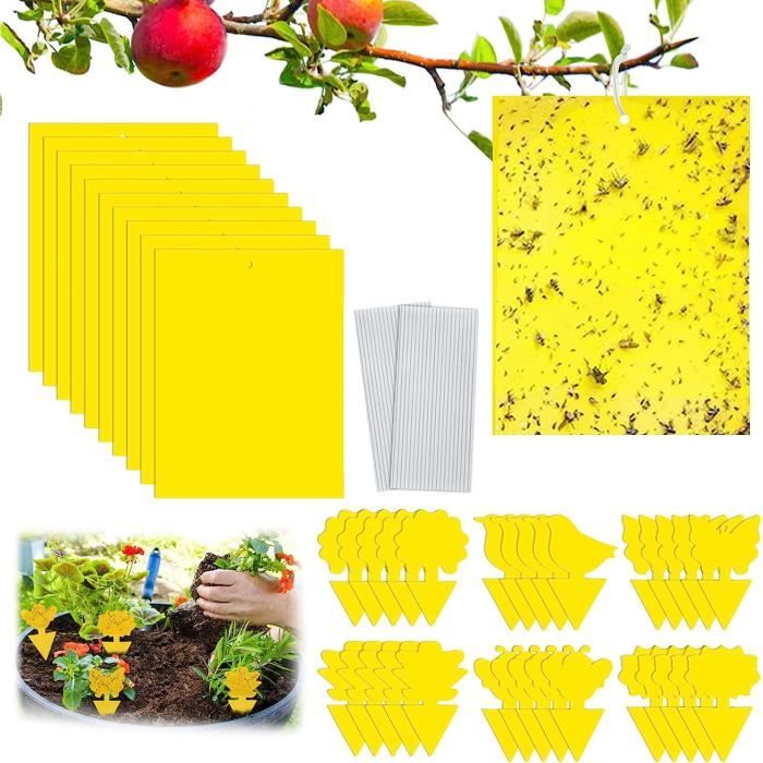 Piège À Insectes, Pièges Engluées Piège À Mouches Plaques Jaunes 30 ...