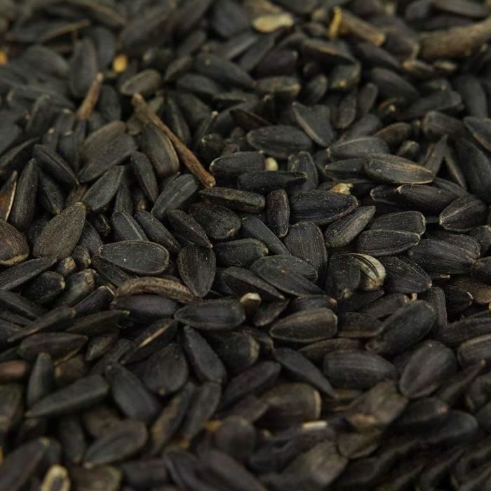 Comparer les prix de Graines de tournesol noir BusyBeaks - nourriture riche en huile pour oiseaux sauvages de jardin occupés 2.5kg