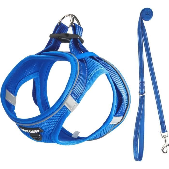 Harnais Chien Step-In Air Mesh, Rembourrée, Réglable | Nombreuses