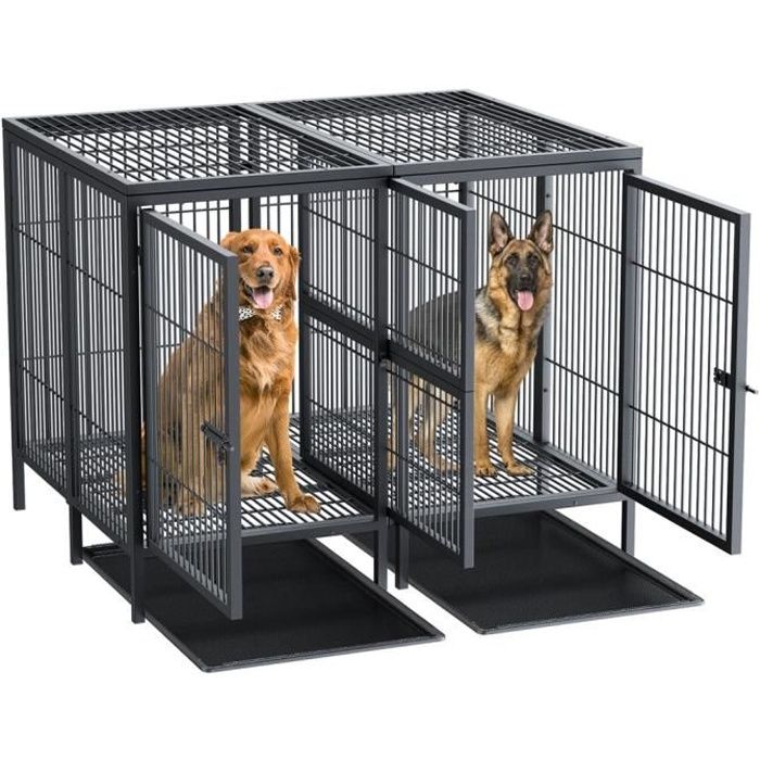 Cage pour Chien Grande Taille en Métal Cage pour 2 Grand Chiens XXL avec Diviseur Amovible