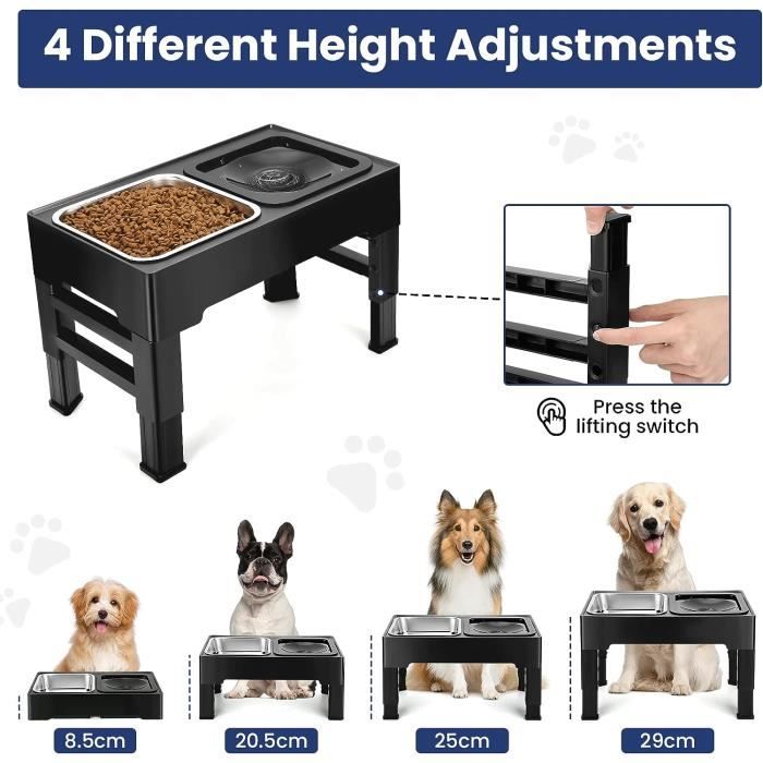 Elevated Slow Feeder with No Spill Dog Water Bowl –