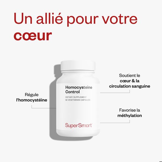Reins de poignée de boucle - Reins de support équilibré Reins de poignée de boucle - Reins de support équilibré