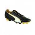 crampon moule