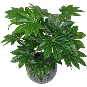 ARBRE - BUISSON Feuille Artificielle Aralia Japonaise - Pot En Plastique Noir - 60 Cm