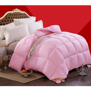 Couette de plumes dhiver Double étudiant épaississant Le Stockage de Chaleur Chaud Couette dhiver A+ Couleur : Rose, Taille : 150 * 200cm Couette de plumes dhiver Double étudiant épaississant Le Stockage de Chaleur Chaud Couette dhiver A+ Couleur : Rose, Taille : 150 * 200cm
