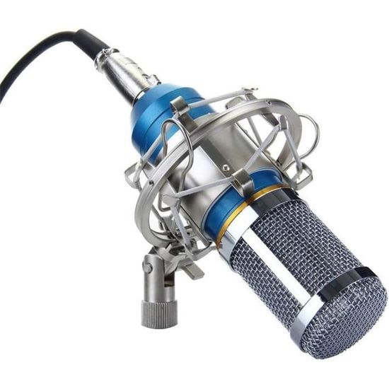 Microphone vocal dynamique classique, rétro, vieux style vintage, micro