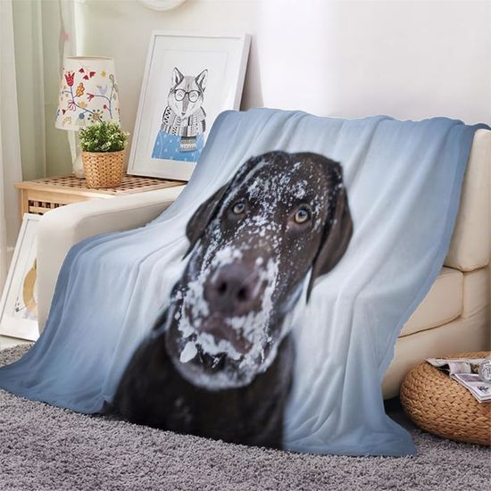 Couverture Plaid Enfant Sonic Fan - Polaire Douce 100x140cm, Cadeau Garçon, Ultra Confort