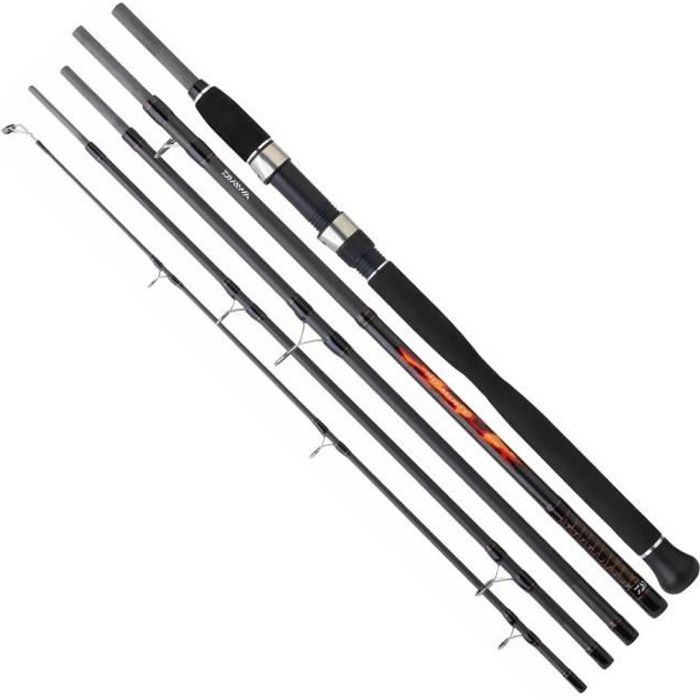 Équipement de pêche Cannes à pêche Daiwa Megaforce Big Fish - 2.90 m