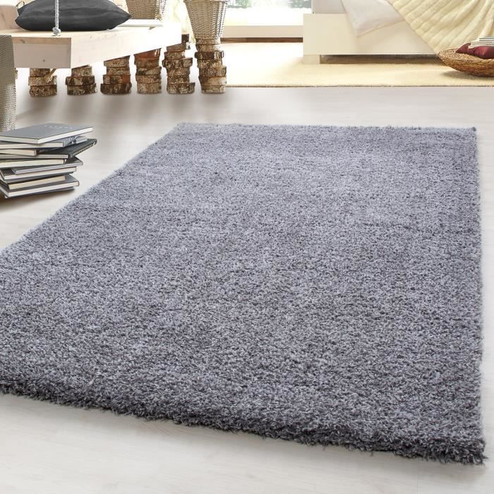 Tapis Salon Gris Clair
