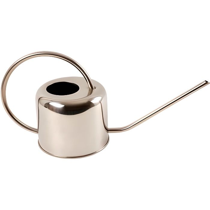 Arrosoir d'intérieur 1 litre
