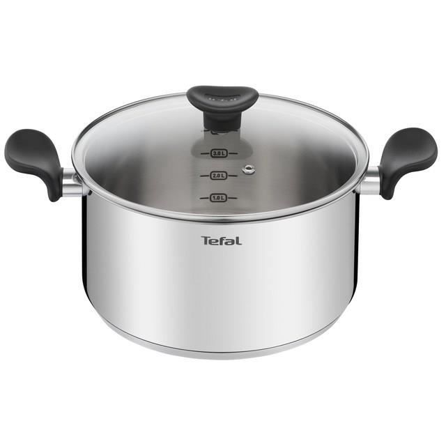 TEFAL E3084604 Faitout 24 cm (5 L) + couvercle verre, Induction, Acier inoxydable haute qualité, Gar